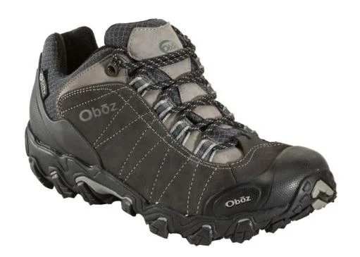 Men's Bridger Low Trail Shoe